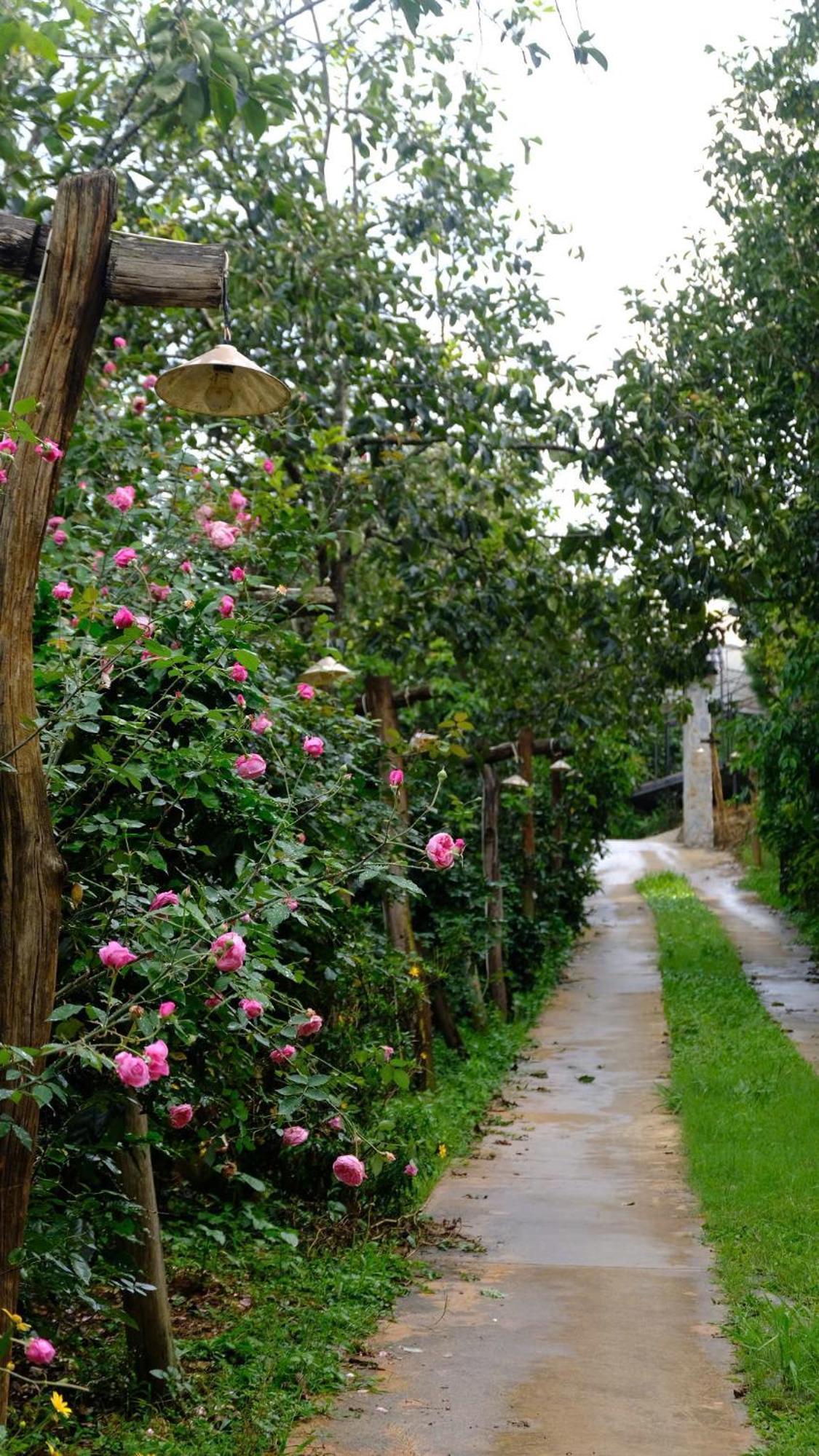Villa Moc Tra Farm Xuan Truong Exterior foto